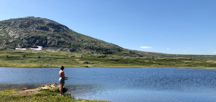 Bilde fra Forollsjøen