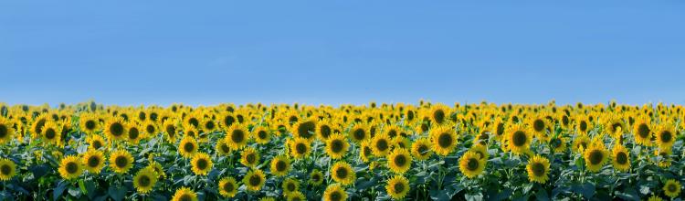 Photo by Bonnie Kittle on Unsplash