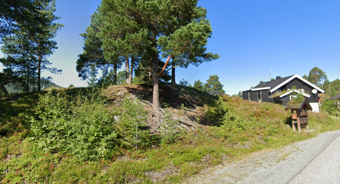 bilde av tomt