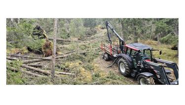 Bilde av skoghogst. Foto: Jens Petter Storrø