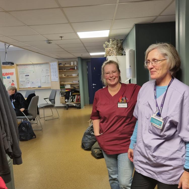 Bilde av hjemmesykepleiere