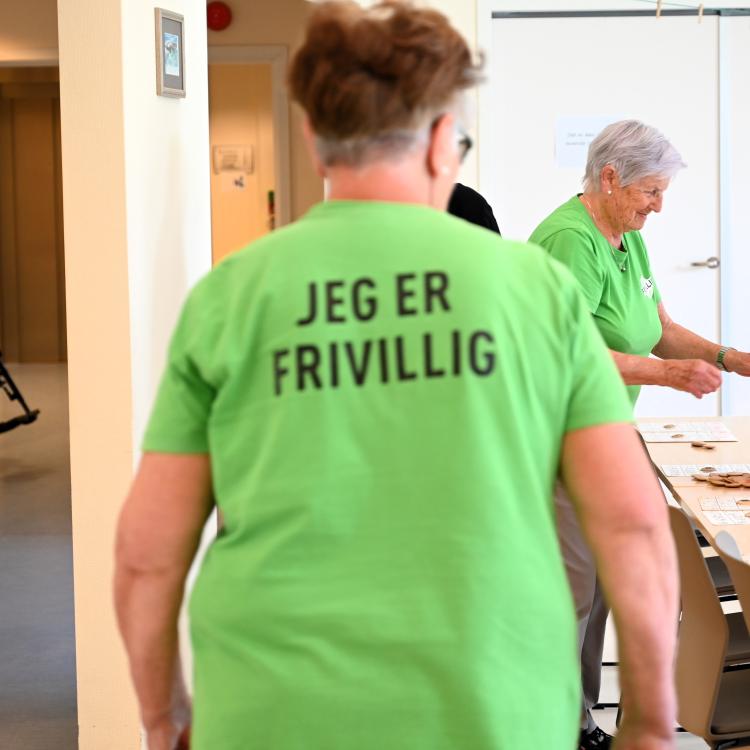 Frivillig