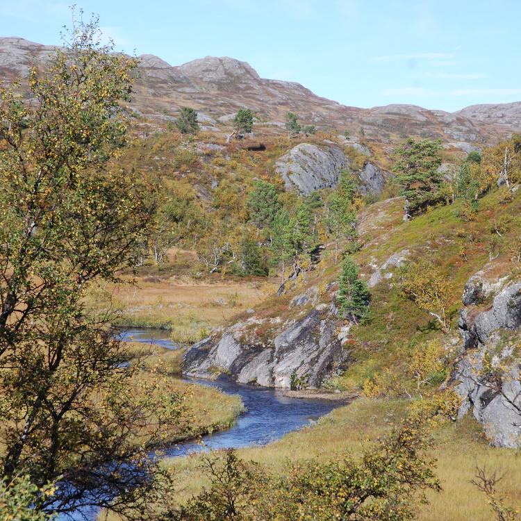 Bilde fra Soknedal. Foto: Midtre Gauldal kommune/Kjerstin Digre Kosberg