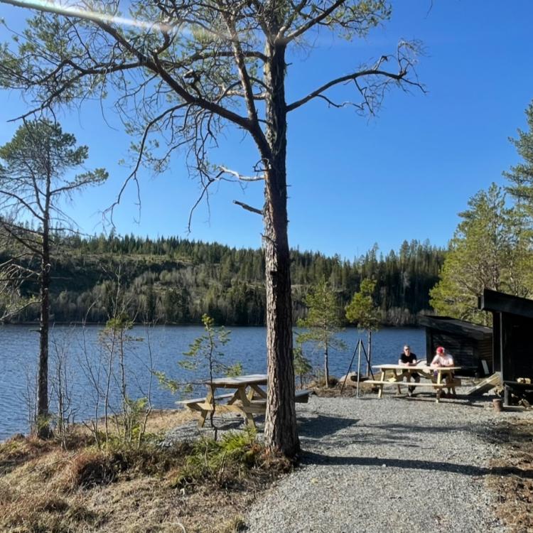 Bilde av Røssvatnet. Foto: Siri Mette Gynnild