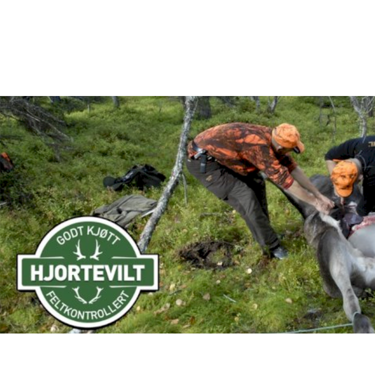 Bilde av jegere