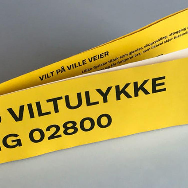 Ring 02800 ved viltulykke