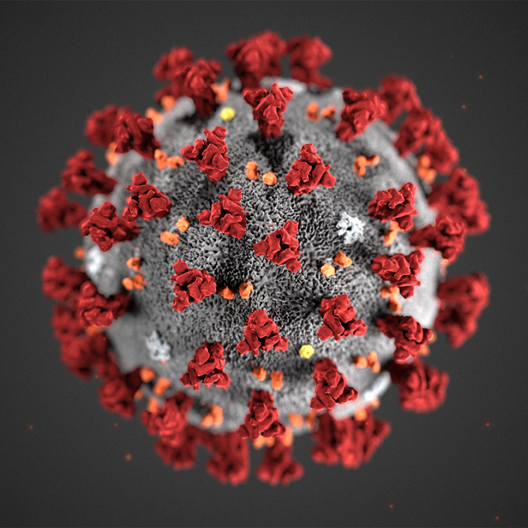 virus