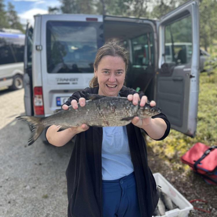 Jente med sik