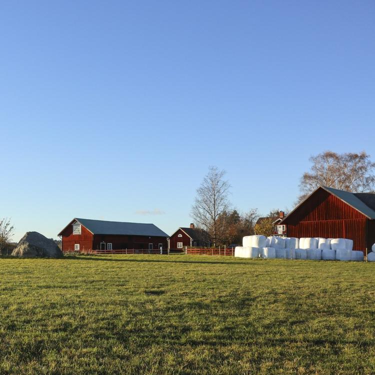 Bilde av en gård med rundball