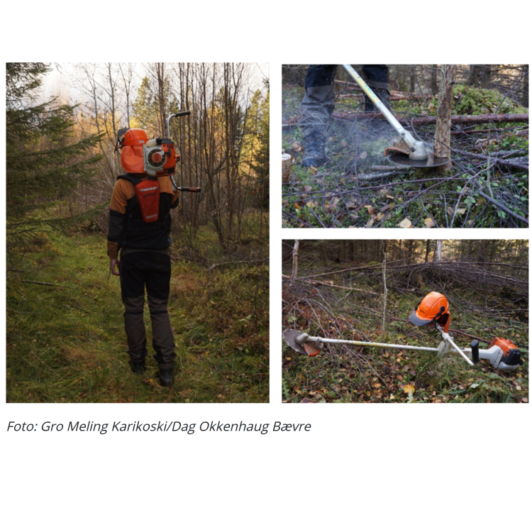 Mann i skog med sag