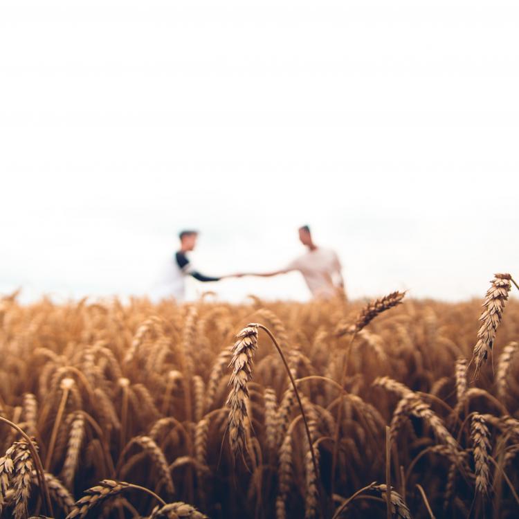 Photo by Warren Wong on Unsplash